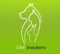 DAP Snepkens