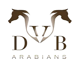 DVB Arabians